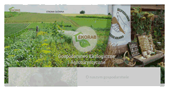 Desktop Screenshot of ekorab.pl